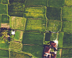 Aerial view of farmland, Food Waste and Natural Resources, Nature of Teaching.