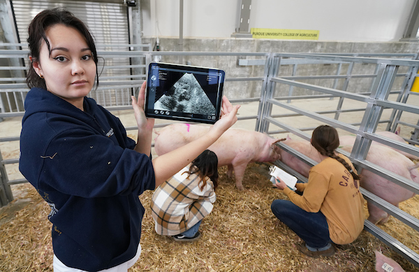 students with a pig