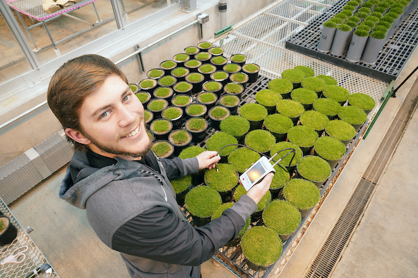 student studying turf samples